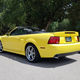 Image for article titled At $19,900, Would You Let This 2003 Ford Mustang Cobra Sink Its Fangs Into Your Wallet?